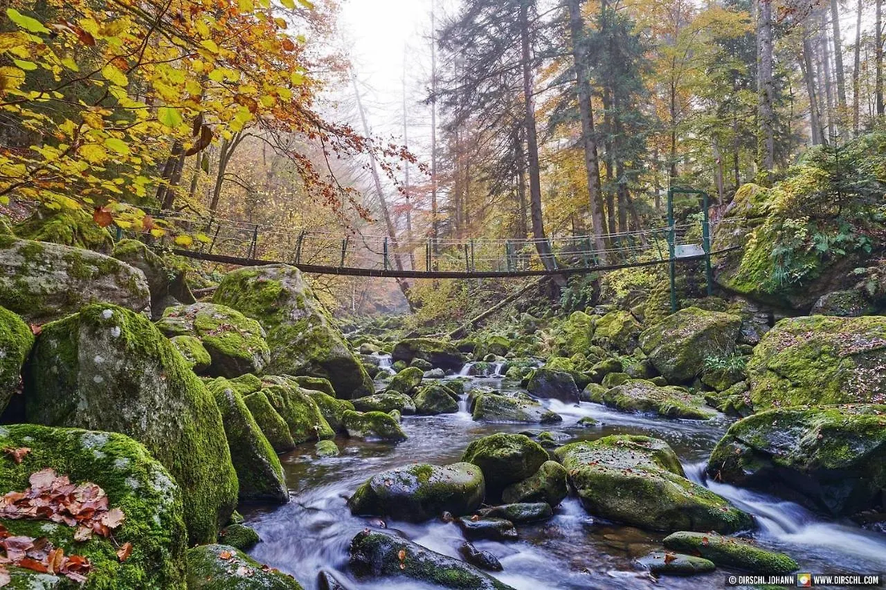Guest house Pension Zum Schmidbaecker Freyung